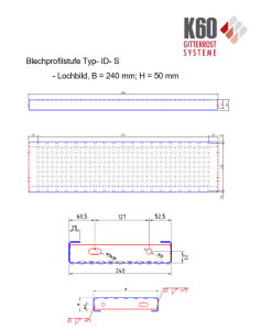 Blechprofilstufe Typ-ID-S 600x240 mm